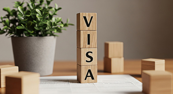 About Skyline Visa