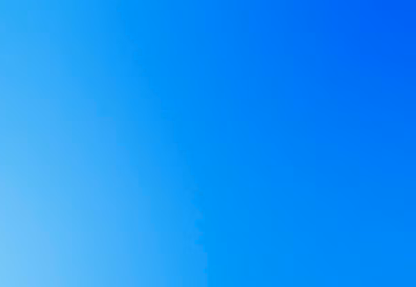 Visa Consultancy